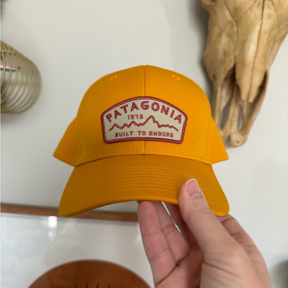 Patagonia Trucker Hat